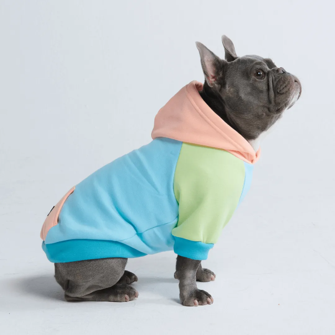 Color Block Dog Hoodies