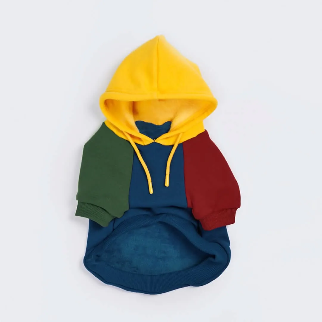 Color Block Dog Hoodies