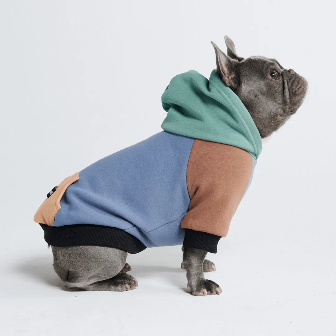 Color Block Dog Hoodies