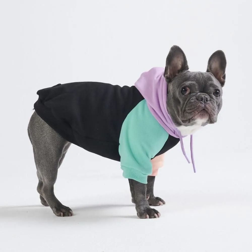 Color Block Dog Hoodies