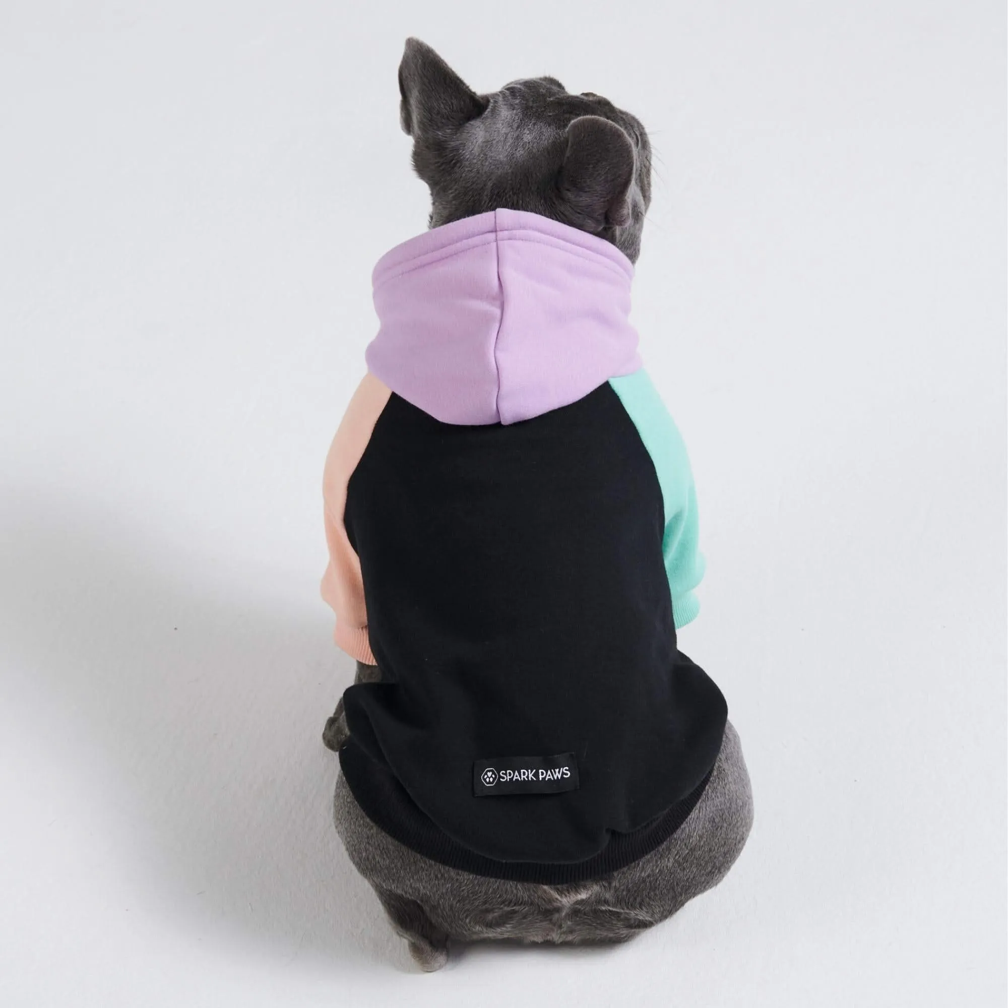 Color Block Dog Hoodies