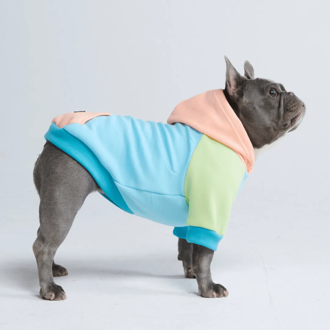 Color Block Dog Hoodies