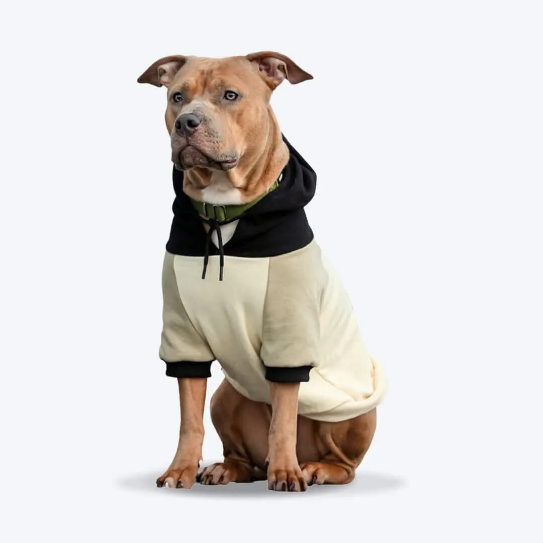 Color Block Dog Hoodies