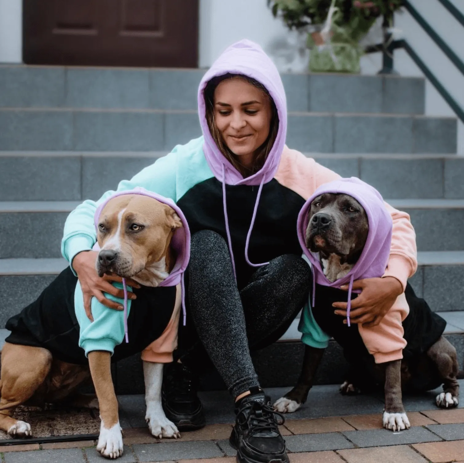 Color Block Dog Hoodies