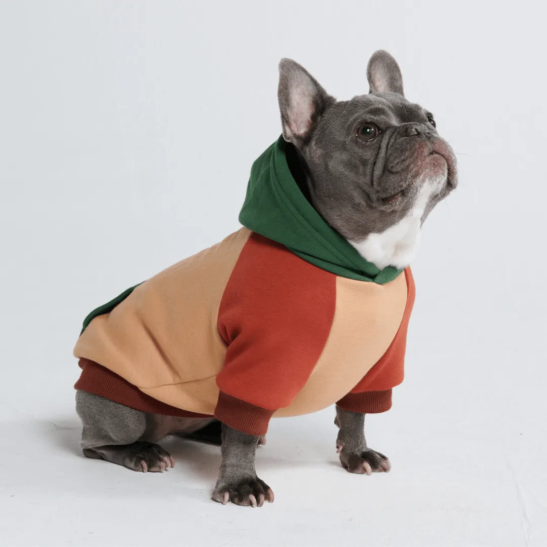 Color Block Dog Hoodies