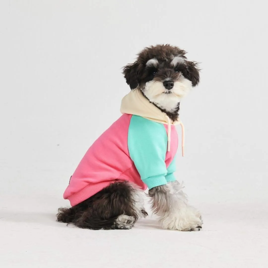 Color Block Dog Hoodies