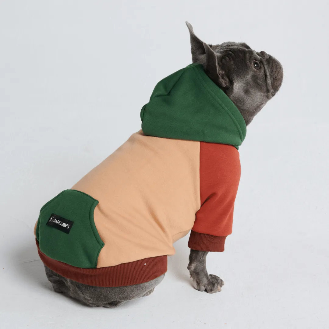 Color Block Dog Hoodies