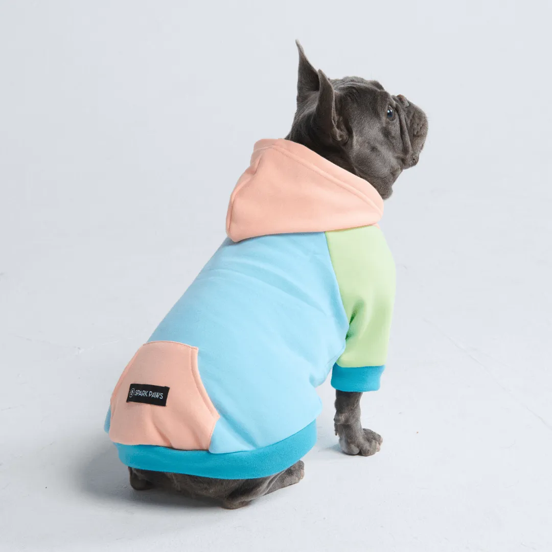 Color Block Dog Hoodies